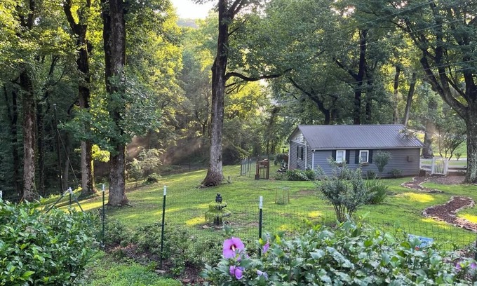 Jasper Cabin | Cozy Guest House cabin on 15 acre farm-stay Sanctuary