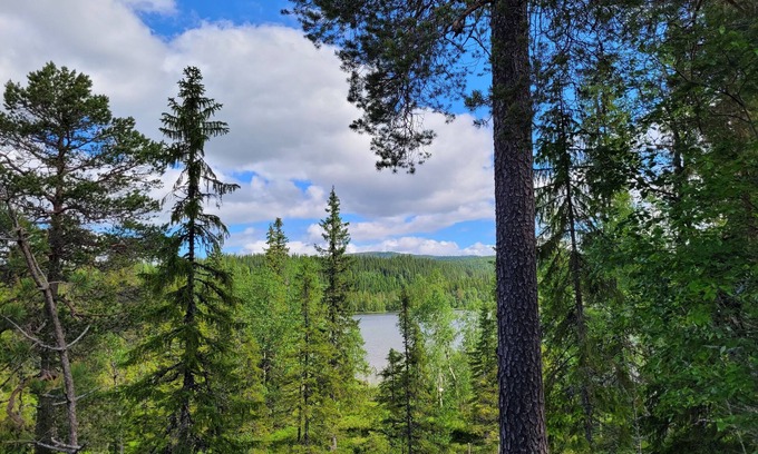 Snasa Cabin | Cozy Lakeside Cottage - in the middle of the forest