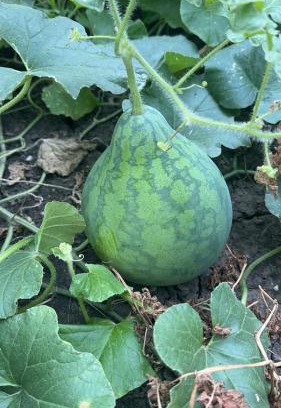 Leavenworth House | Cozy large room in quiet neighborhood