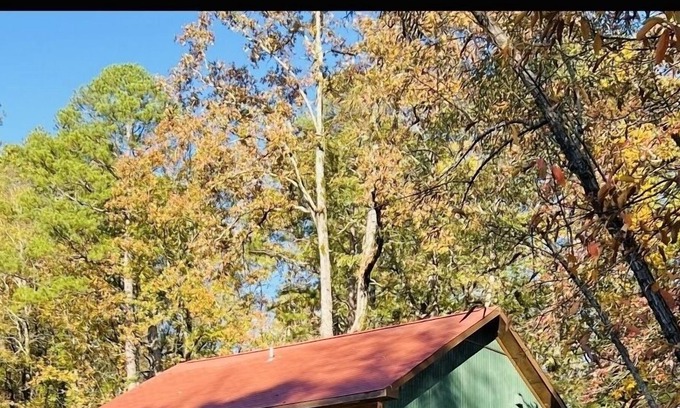 Ferndale Cabin | Cozy little Cabin in Little Rock