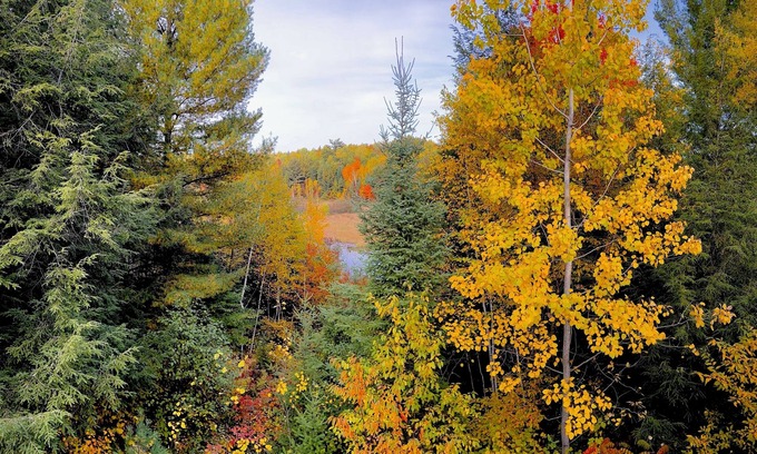 Lakewood Cabin | Cozy, spacious cabin. Great for fishing & snowmobiling!