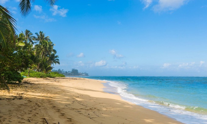 Waialua Apartment | Cozy studio next to the ocean with hot tub, lanai, beach access and WIFI