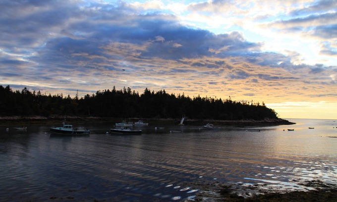 Birch Harbor Apartment | Cozy studio with spectacular views of Bunker's Harbor in Birch Harbor!