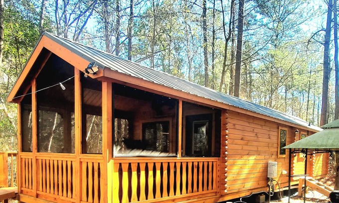 Comfort Cabin | Cozy tiny cabin in enchanting Richlands w/King Suite, hottub