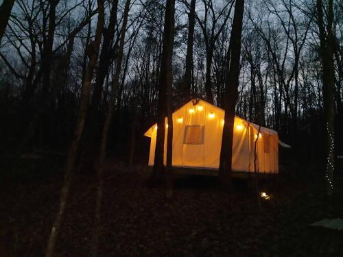Grandview Other | Cozy Treehouse Tent with Forest Trails near Waterfalls in Cumberland Plateau, TN