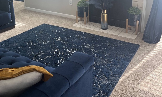 Columbia Apartment | Cozy up into Bold,Beautiful ,Blue stunning home!