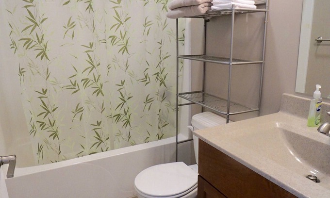 Mason City Condo | Cozy updated Condo. Close to shopping and restaurants.