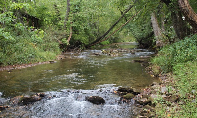 Blue Ridge Cottage | Creekside Cottage just steps from Fightingtown Creek & 10 minutes from downtown.
