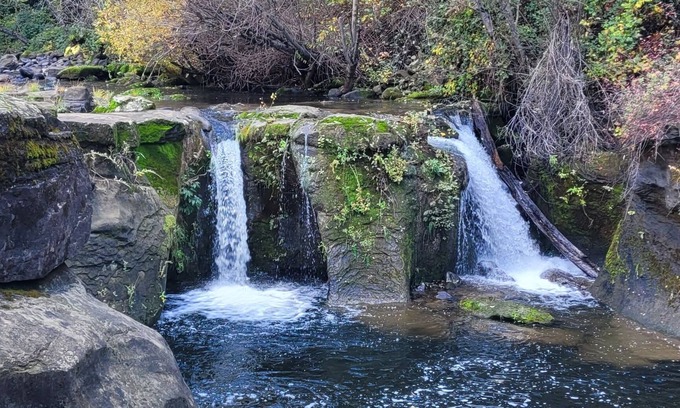 Shasta County House | Creekside Mountain Home with private waterfall & farm near Lassen Burney Shasta