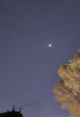 Santa Maria Ahuacatitlan Apartment | Cuarto de descanso Z