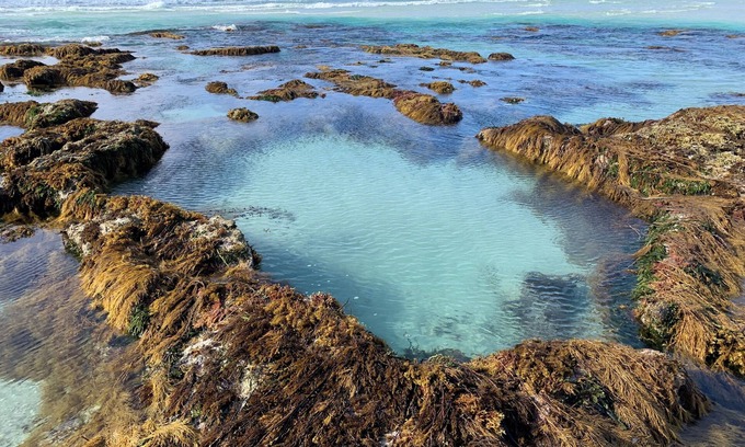 Newland Cottage | Currawong Cottage Vivonne Bay