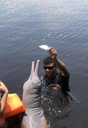 Iranduba Cabin | Curupira Amazon Lodge - Private Jungle Tour, River Tour or Great Adventure Tour Included in the Walking Safari Price