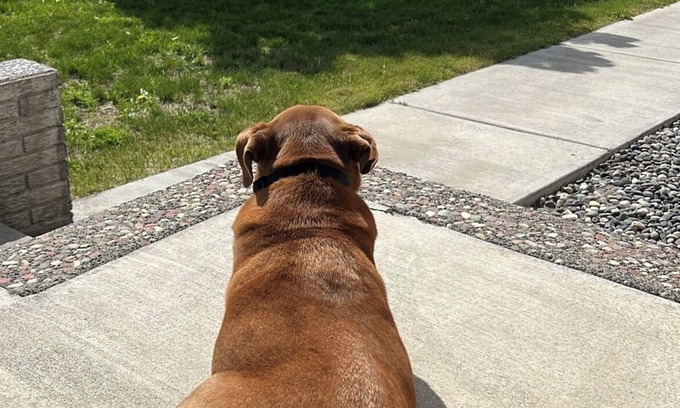 Desert Aire House | Cute, comfortable, fully fenced, clean home great for boating/golf families