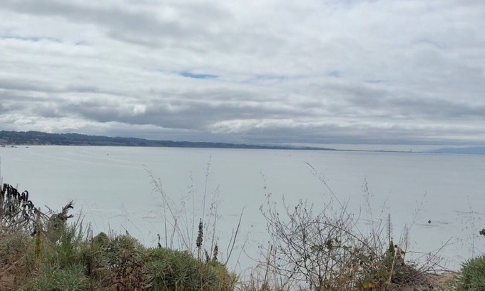 Capitola Apartment | Cute Studio Spectacular-endless Ocean Views charming Depot Hill Capitola Village