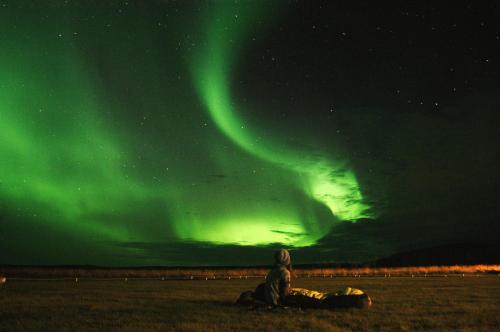 Hvammstangi Apartment | Dæli Apartments
