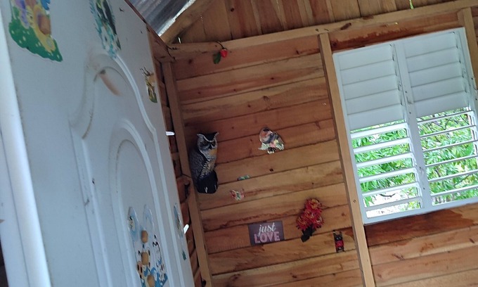 Luperon Apartment | D' Ramos Alojamiento