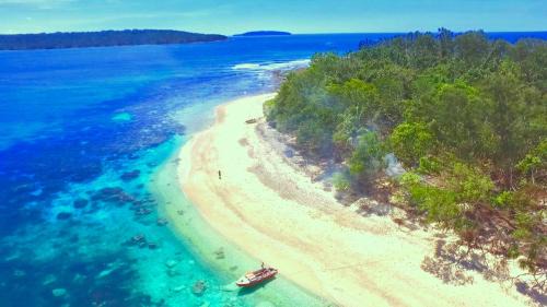 Turtle Bay Resort | Dany Island