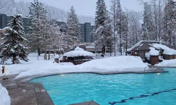 Olympic Valley Apartment | Dav’s Plush Ski-in/Ski-out Studio Condotel with Forest View @ 400 Squaw Creek Rd