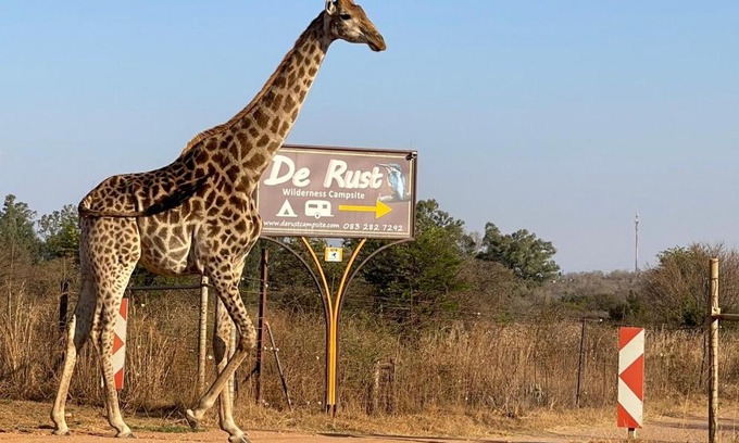 Hammanskraal Cabin | De Rust Campsite