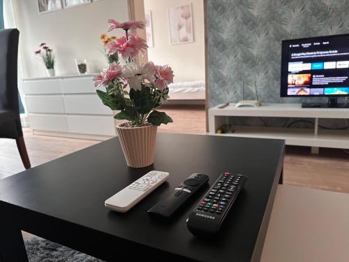Nyiregyhaza Apartment | Deer Apartment