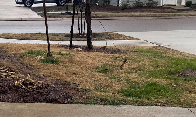 Pontotoc Cabin | Delightful cabin with AC in charming Pontotoc