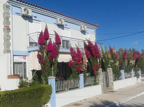 Skala Kallonis Apartment | Diamanti Studios