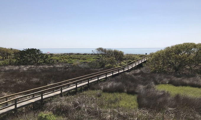 Folly Field Condo | Direct Ocean Front View Condo! A225. Also see HA#9437951🏖next door!