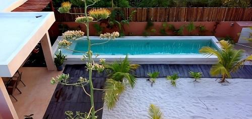 Chicxulub Puerto House | Disfruta en La Casa de Lola/Enjoy at Lolas house