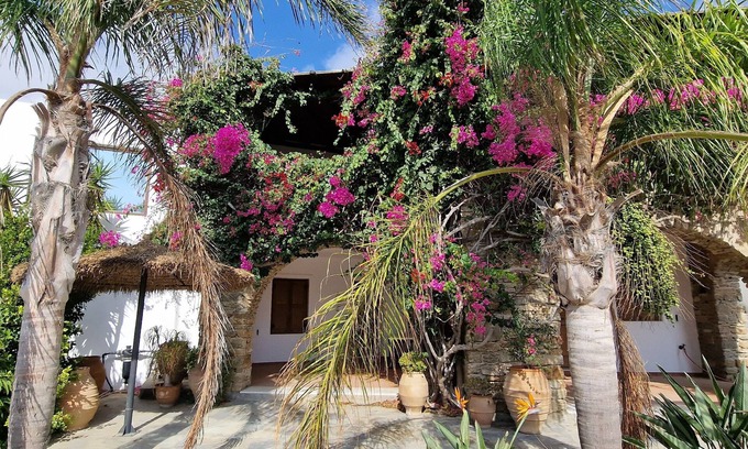 Plintri House | Divers House