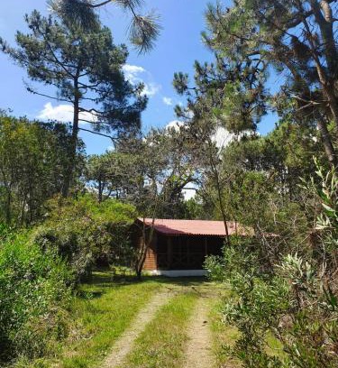 Oceania del Polonio House | Doha, paraíso mar y bosque