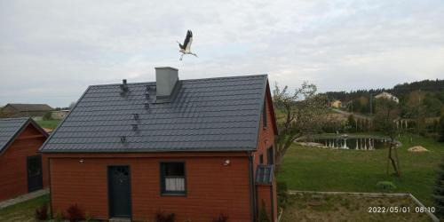 gmina Karsin House | Dom wakacyjny Poniatówka