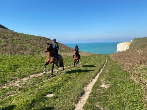 Le Tilleul Bed & Breakfast | Domaine Equestre Etretat