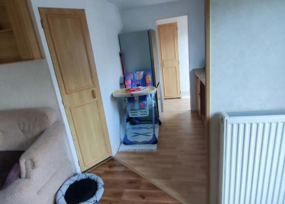 Radkow House | Domek w lesie