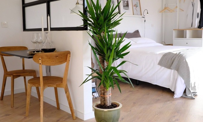 Vegueta Apartment | Double Apartment with city views