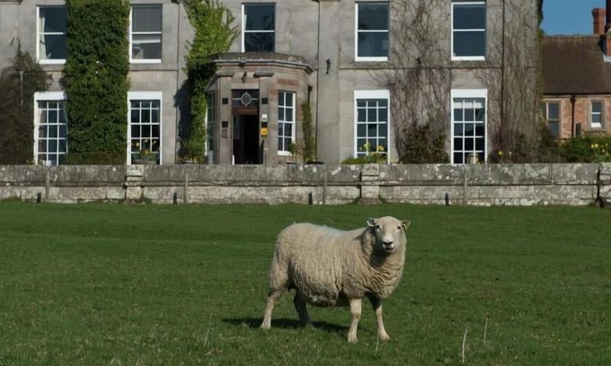 Longford House | Double room-Standard-Ensuite with Bath-Garden view-Room 12