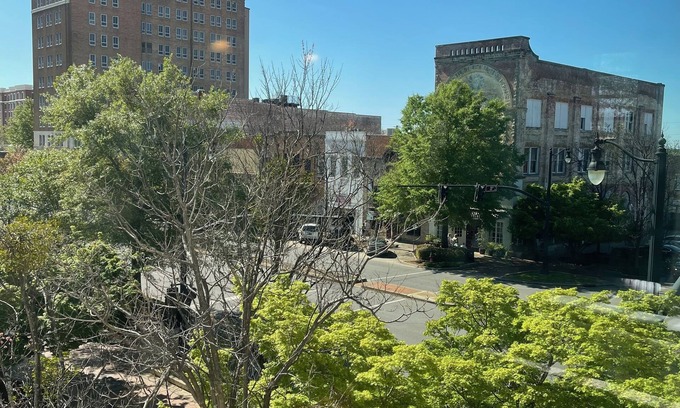 Druid City Condo | Downtown Loft walking distance to UA