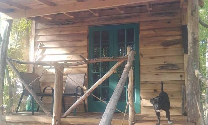 Ozone Cabin | Driftwood Treehouse Cabin w/AC, Peaceful & Cozy!