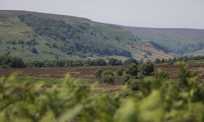 Burythorpe Cottage | DUTCH BLUES, pet friendly, with a garden in Malton