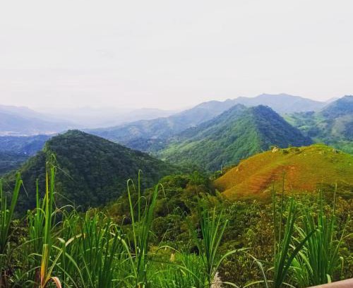 Sasaima Other | Ecobindu-Camping -tranquilo y en conexion con la naturaleza!