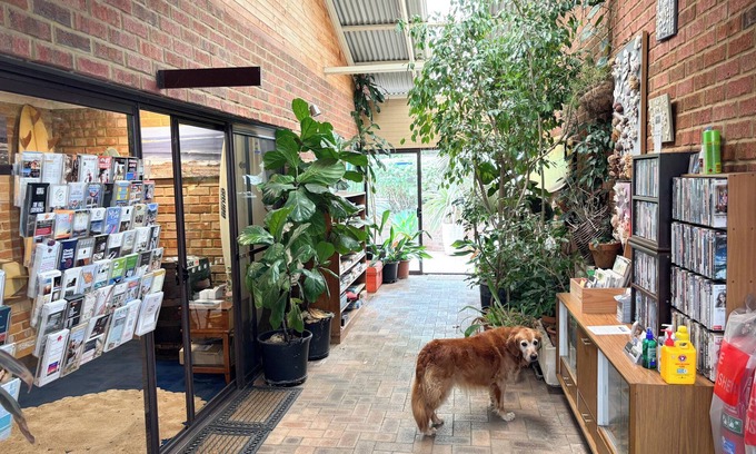 Margaret River Hotel | Edge of the Forest