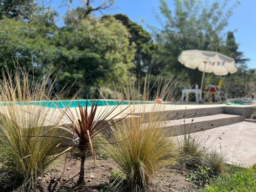 El Paraiso House | El Galpón de Paraíso