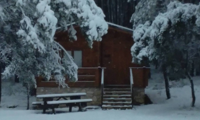 Canamares Cabin | El Llano de los Conejos Cabins - Cabin 2