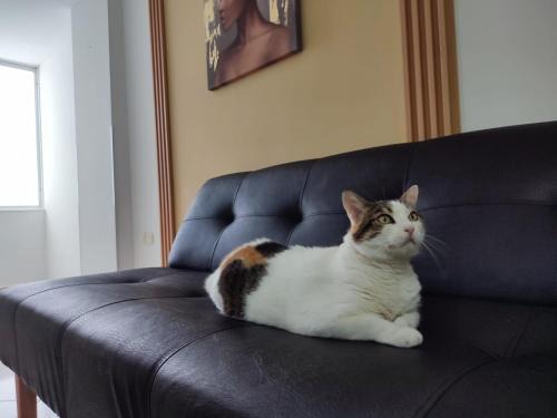 Bucaramanga Apartment | Elegante e Innovador Apartaestudio en San Alonso