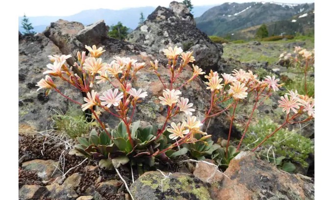 Happy Camp House | Elk Creek Ranch