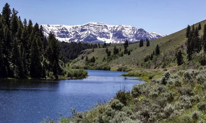 Lima Cabin | Elk Lane Cabin #4