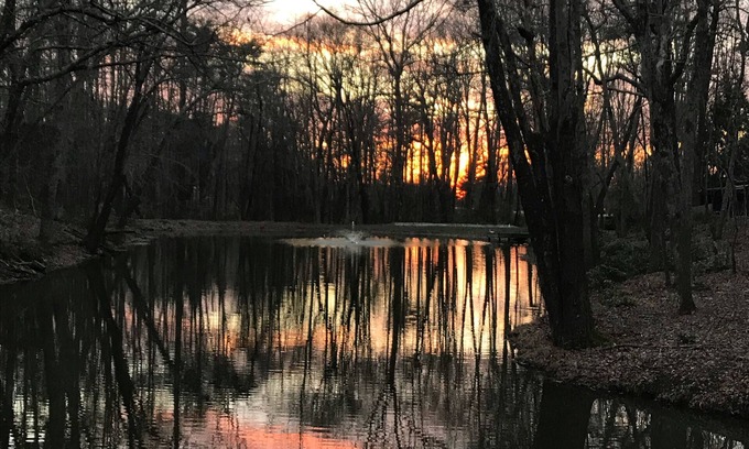 Lookout Mountain Cottage | Enjoy the mountain and the city!