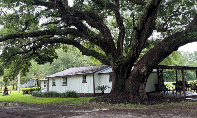 Bon Secour House | Enjoy the peaceful outdoors in this newly remodeled home on 5 acres