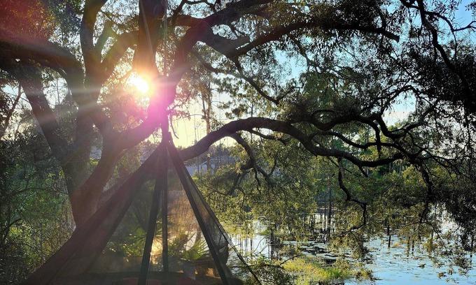 Deltona Lakes House | Enjoy unlimited lake views, tranquility and coffee for your sunrise