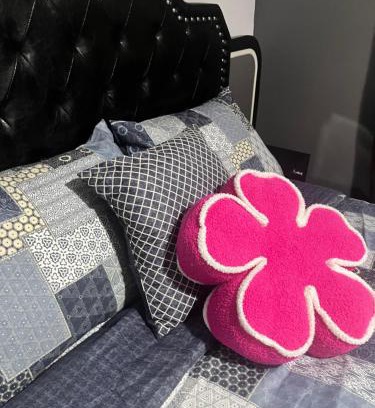 Des Plaines Apartment | Entire 5 bedroom spacious mansion