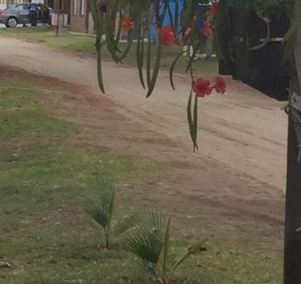 Mar del Tuyu House | Entre Sueños